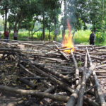 IMG-20250421-WA0018