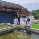 Pemanfaatan Lahan Produktif, Lapas Pati Tebar 10.000 Benih Lele* IMG-20250917-WA0239