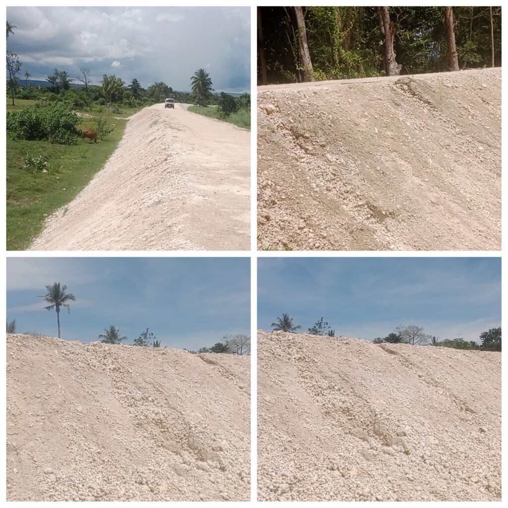 PhotoCollage_1765361423154