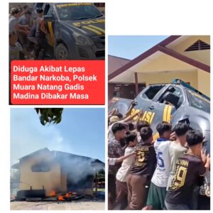 PhotoCollage_1766281078411