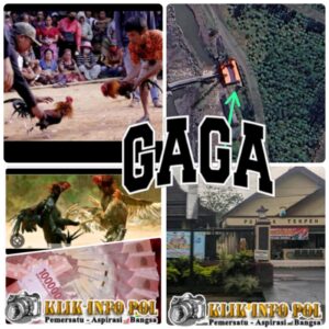 IMG-20260119-WA0203(1)