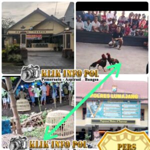 IMG-20260130-WA0063(1)