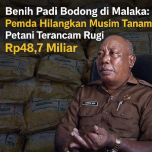 file_00000000a15c7209a0e112d8dbb330f5